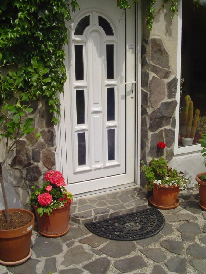 Villa Ametyst Штурово Экстерьер фото